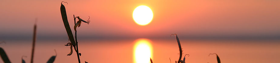 PMR TCM Kainbacher Melk